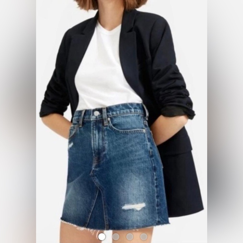 Everlane Denim Skirt